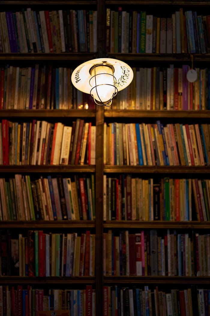 services-03 Bookshelf in a library illuminated by a warm lightbulb, creating a cozy ambiance.